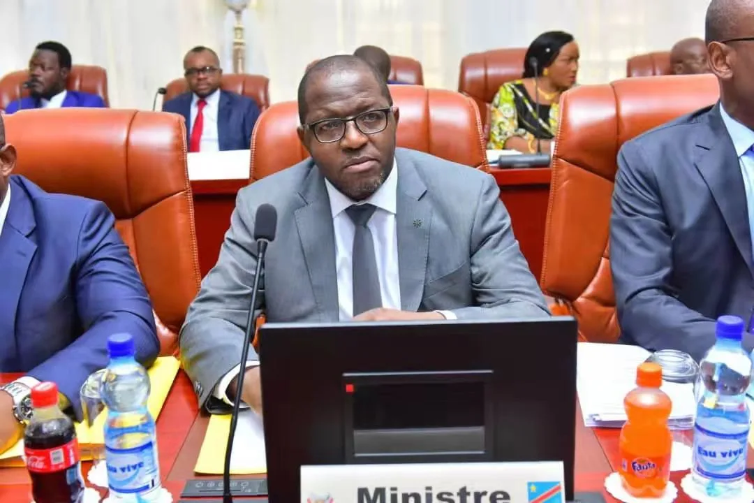 Presidential Palace of DR Congo — Ofislar va muassasalar